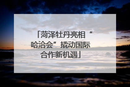 菏泽牡丹亮相“哈洽会”撬动国际合作新机遇