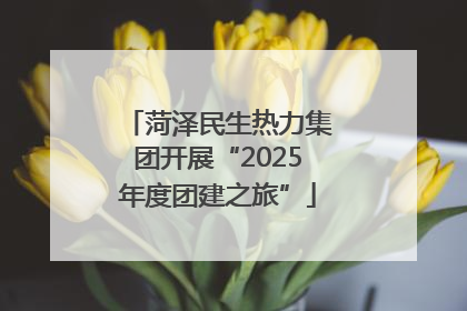 菏泽民生热力集团开展“2025年度团建之旅”