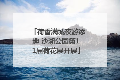 荷香满城夜游添趣 沙湖公园第11届荷花展开展