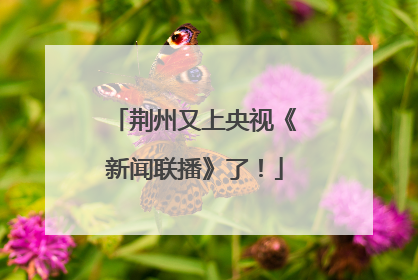 荆州又上央视《新闻联播》了！