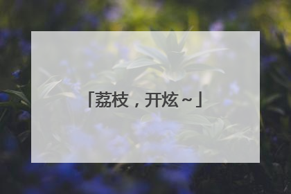 荔枝，开炫～