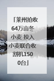 莱州抢收64万亩冬小麦 投入小麦联合收割机1500台