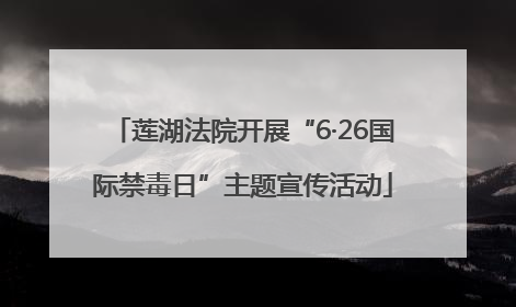 莲湖法院开展“6·26国际禁毒日”主题宣传活动