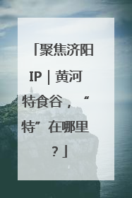 聚焦济阳IP｜黄河特食谷，“特”在哪里？