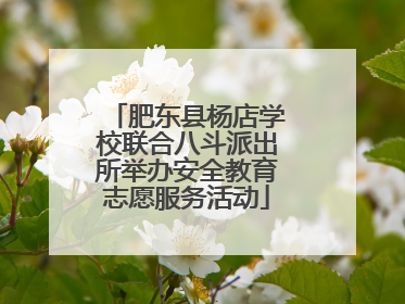 肥东县杨店学校联合八斗派出所举办安全教育志愿服务活动