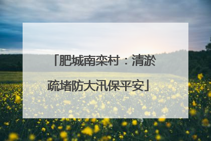 肥城南栾村：清淤疏堵防大汛保平安