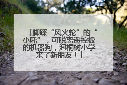 脚踩“风火轮”的“小吒”，可脱离遥控板的机器狗，泡桐树小学来了新朋友！