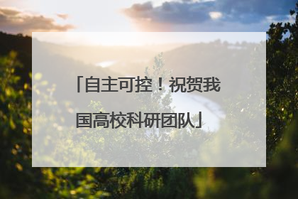自主可控！祝贺我国高校科研团队