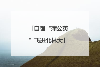 自强“蒲公英”飞进北林大