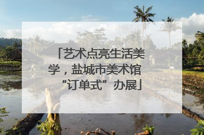 艺术点亮生活美学，盐城市美术馆“订单式”办展