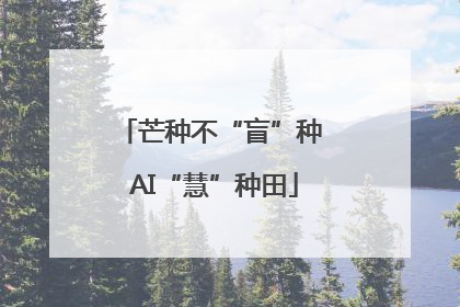 芒种不“盲”种 AI“慧”种田