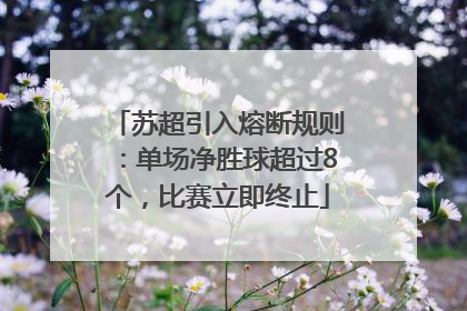 苏超引入熔断规则：单场净胜球超过8个，比赛立即终止