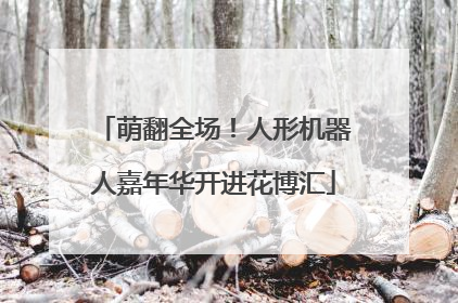 萌翻全场！人形机器人嘉年华开进花博汇