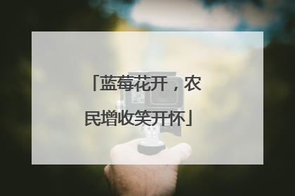 蓝莓花开，农民增收笑开怀