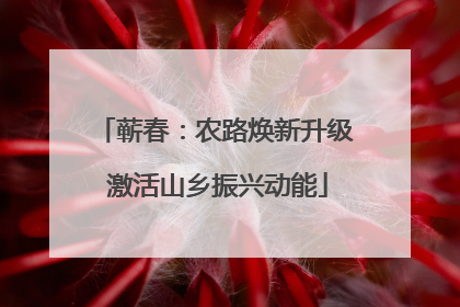 蕲春：农路焕新升级 激活山乡振兴动能