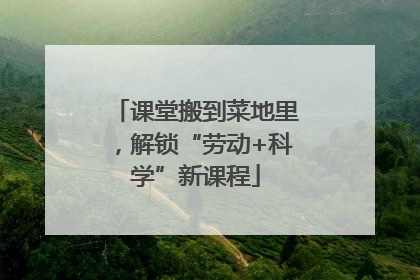 课堂搬到菜地里，解锁“劳动+科学”新课程