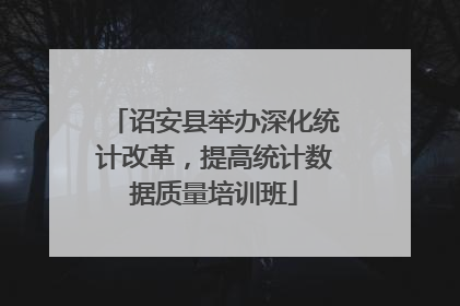 诏安县举办深化统计改革，提高统计数据质量培训班