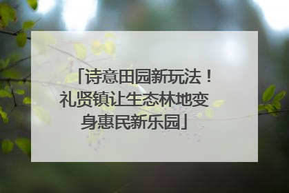 诗意田园新玩法！礼贤镇让生态林地变身惠民新乐园