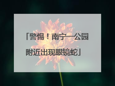 警惕！南宁一公园附近出现眼镜蛇