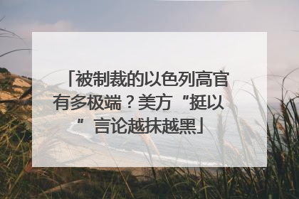 被制裁的以色列高官有多极端？美方“挺以”言论越抹越黑