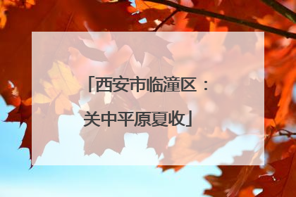 西安市临潼区：关中平原夏收