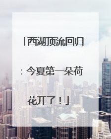西湖顶流回归：今夏第一朵荷花开了！