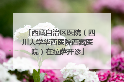西藏自治区医院（四川大学华西医院西藏医院）在拉萨开诊