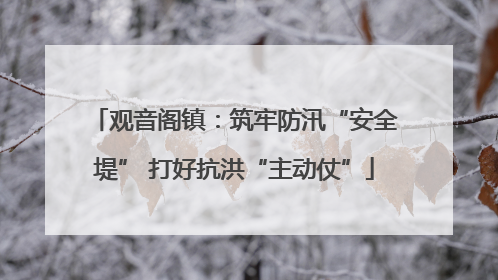 观音阁镇：筑牢防汛“安全堤” 打好抗洪“主动仗”