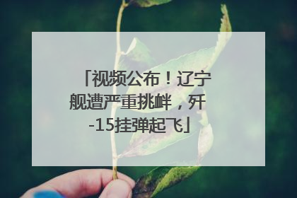 视频公布！辽宁舰遭严重挑衅，歼-15挂弹起飞