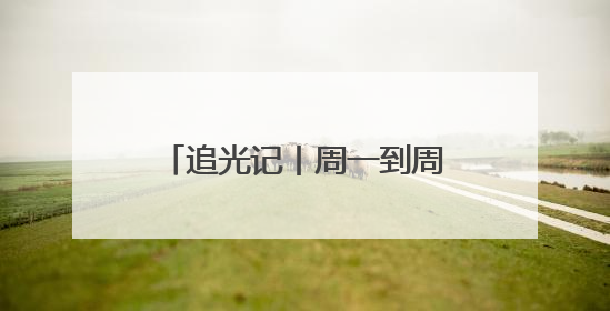 追光记丨周一到周五，欢迎来齐鲁
