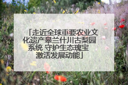 走近全球重要农业文化遗产皋兰什川古梨园系统 守护生态瑰宝 激活发展动能