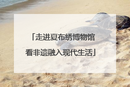 走进夏布绣博物馆 看非遗融入现代生活