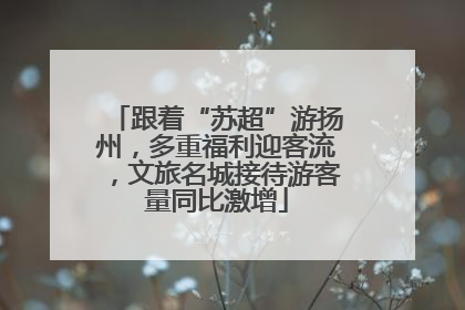 跟着“苏超”游扬州，多重福利迎客流，文旅名城接待游客量同比激增