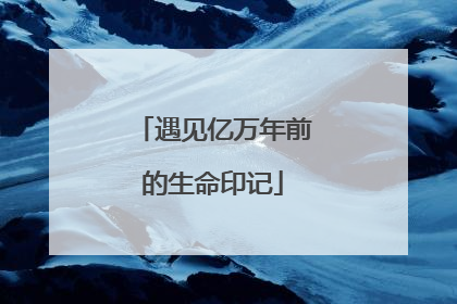 遇见亿万年前的生命印记