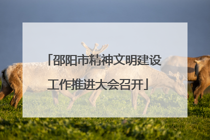 邵阳市精神文明建设工作推进大会召开