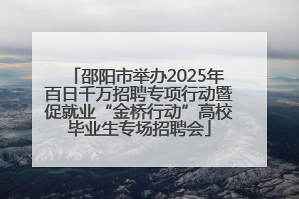 邵阳市举办2025年百日千万招聘专项行动暨促就业“金桥行动”高校毕业生专场招聘会