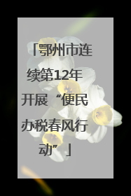 鄂州市连续第12年开展“便民办税春风行动”