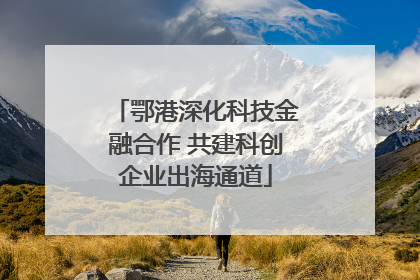 鄂港深化科技金融合作 共建科创企业出海通道