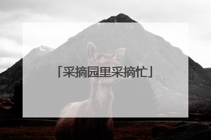 采摘园里采摘忙