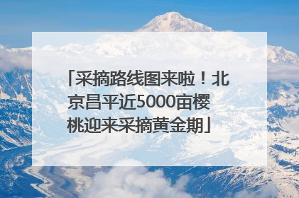 采摘路线图来啦！北京昌平近5000亩樱桃迎来采摘黄金期