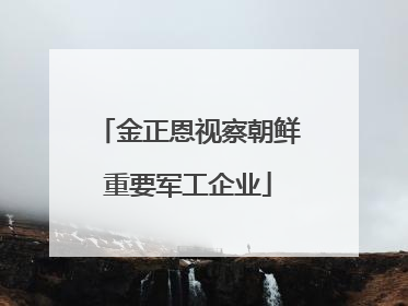 金正恩视察朝鲜重要军工企业