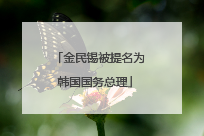 金民锡被提名为韩国国务总理