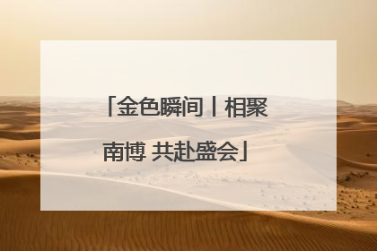 金色瞬间丨相聚南博 共赴盛会