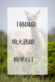 韩国总统大选即将举行