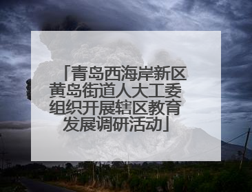 青岛西海岸新区黄岛街道人大工委组织开展辖区教育发展调研活动