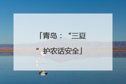 青岛：“三夏”护农话安全