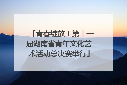 青春绽放！第十一届湖南省青年文化艺术活动总决赛举行