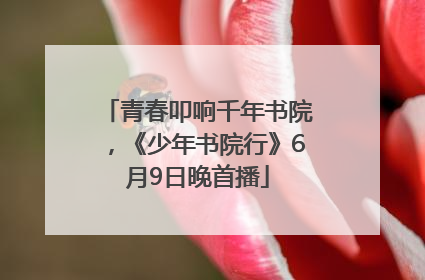 青春叩响千年书院，《少年书院行》6月9日晚首播