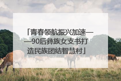 青春领航振兴加速——90后彝族女支书打造民族团结智慧村
