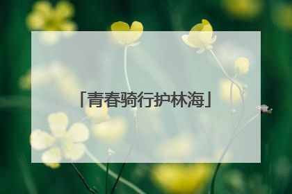 青春骑行护林海